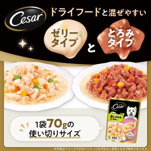 シーザー ジューシー厳選ビーフ 彩り野菜入り ...の詳細画像4