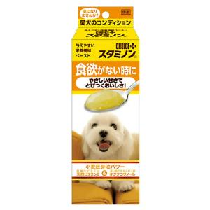 ONE LAC 犬 猫 サプリ 森乳 ワンラック エナジー500 20gx6包