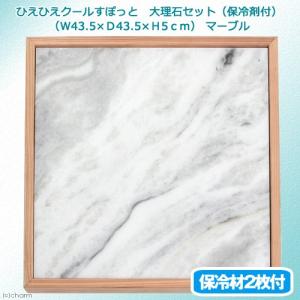 ひえひえクールすぽっと　大理石セット（保冷剤付）（Ｗ４３．５×Ｄ４３．５×Ｈ５．０ｃｍ）　ひんやり　沖縄別途送料｜chanet