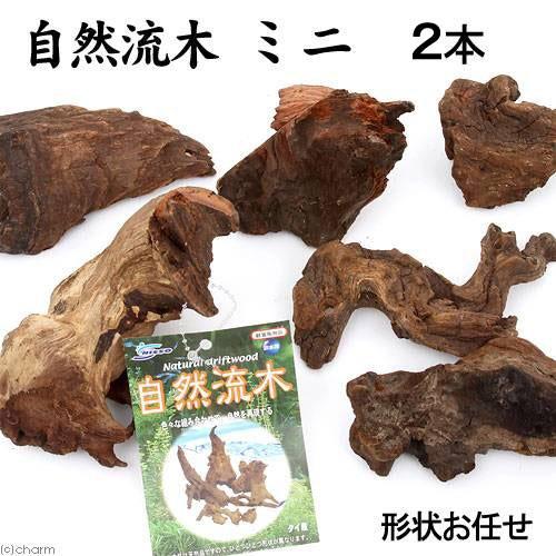 形状お任せ　自然流木　ミニ（約１５ｃｍ以下）　２本