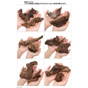 形状お任せ 自然流木 ミニ(約15cm以下) 2本の詳細画像1