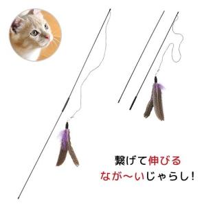 猫じゃらし Cat in the box ジョ...の詳細画像1