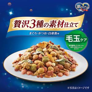 キャットフード 銀のスプーン 海の贅沢素材 毛...の詳細画像1