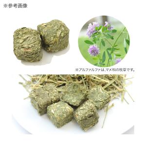 カジカジ牧草 アルファルファキューブ ミニパッ...の詳細画像1