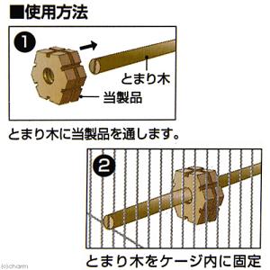 スドー クルクルかじりんガー+木製コーナーとま...の詳細画像3