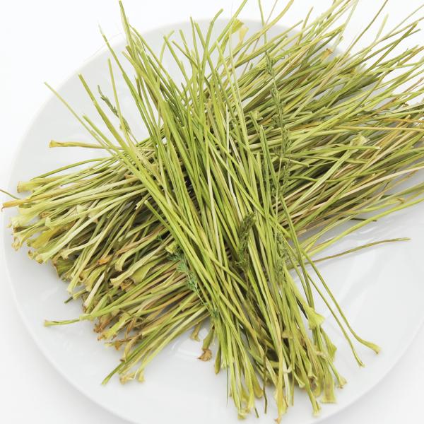 国産　かじってたのしい　にんじんの葉の茎　２００ｇ　小動物のおやつ　ノーカット　業務用　無添加　無着...