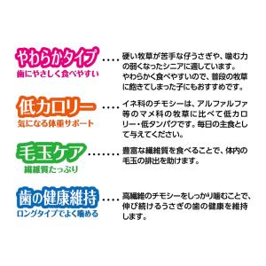 マルカン バニーグレードチモシー ソフト 90...の詳細画像4