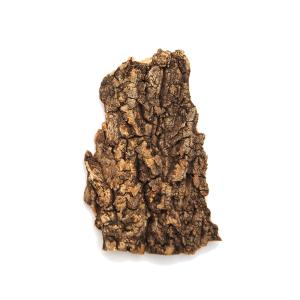 形状お任せ　板状コルク樹皮　５０ｇ　１枚　ガーデニング　ビバリウム