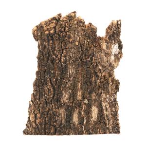形状お任せ　板状コルク樹皮　２５０ｇ　１枚　ガーデニング　ビバリウム