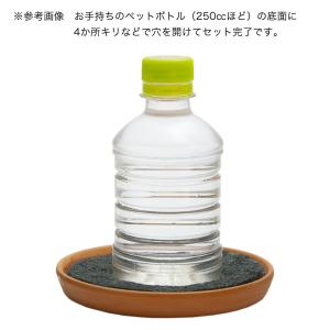 コオロギ用給水セット 給水器の詳細画像2