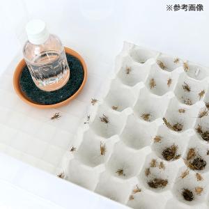 コオロギ用給水セット 給水器の詳細画像3