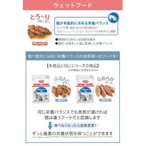 ロイヤルカナン 猫 室内で生活する長毛の成猫用...の詳細画像5