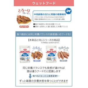 ロイヤルカナン 猫 7歳からの室内猫用セット ...の詳細画像5