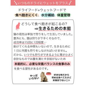 ロイヤルカナン 猫 7歳からの室内猫用セット ...の詳細画像2