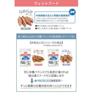 ロイヤルカナン 猫 7歳からの室内猫用セット ...の詳細画像5