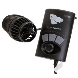 SPECTRA SP200（スペクトラ） ブラック : チャーム