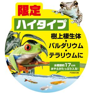 爬虫類ケージ GEX エキゾテラ グラステラリ...の詳細画像2