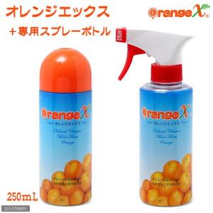 orange X（オレンジX） オレンジクオリティ オレンジエックス