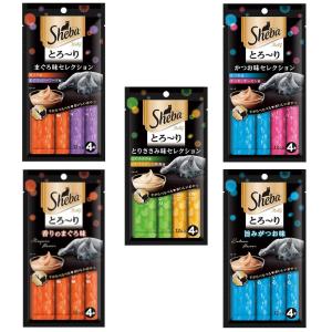 アソート　シーバ　とろ〜り　メルティ　５種各１袋　キャットフード
