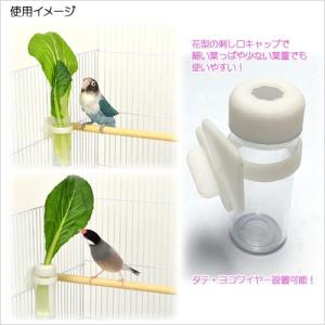 三晃商会 小鳥のベジタブルポット 小鳥 菜さし...の詳細画像1