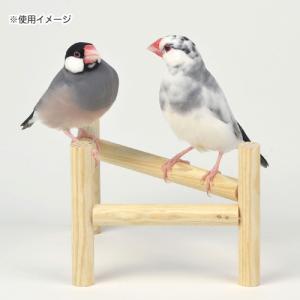 三晃商会 小鳥のホップ ステップ パーチ 小鳥...の詳細画像5