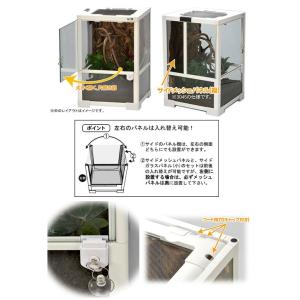爬虫類ケージ 三晃商会 パンテオン ホワイト ...の詳細画像2