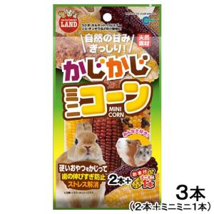 マルカン かじかじ ミニコーン 2本+おまけミニ...の商品画像