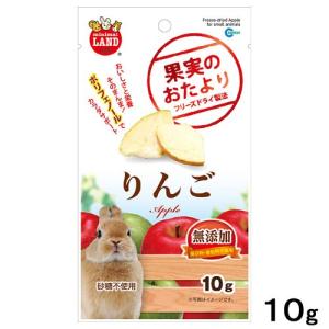 マルカン　果実のおたより　りんご　１０ｇ　無添加　小動物　おやつ　うさぎ