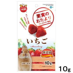 マルカン 果実のおたより いちご 10g 無添加...の商品画像