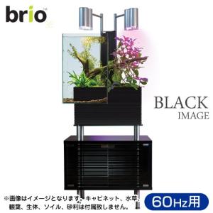 取寄せ商品　アクアポニクス水槽　ｂｒｉｏ３５　ブラック　６０Ｈｚ　西日本用　インテリア水槽（キャビネットなし）　１８０サイズ