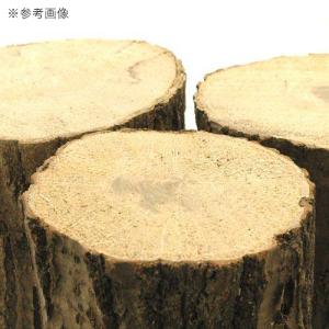 コナラ産卵木 太目 15本 昆虫 クワガタ用の詳細画像3
