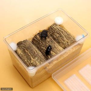 オオクワガタ産卵セット　器具のみ　説明書付き　昆虫　飼育セット　プロゼリー　マット　産卵木｜チャーム charm ヤフー店