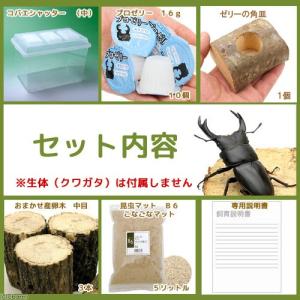 オオクワガタ産卵セット 器具のみ 説明書付き ...の詳細画像2