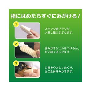 ライオン PETKISS すき間もみがける波型...の詳細画像2
