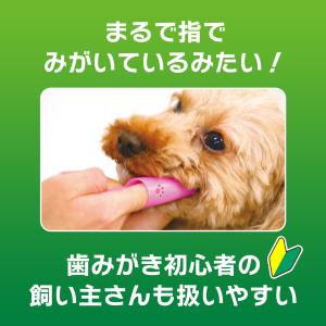 ライオン PETKISS 指サック歯ブラシ 1...の詳細画像2