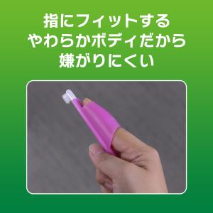 ライオン PETKISS 指サック歯ブラシ 1...の詳細画像4