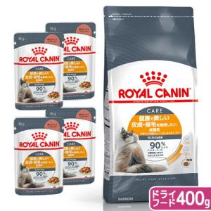 3袋セットロイヤルカナン 食事療法食 猫用 腎臓サポート ドライ 500g