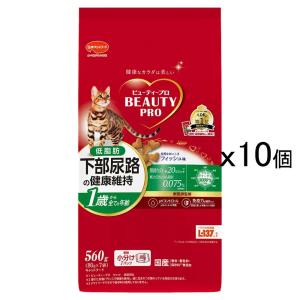 ビューティープロ キャット 成猫用 1歳から チキン味 ( 1.5kg