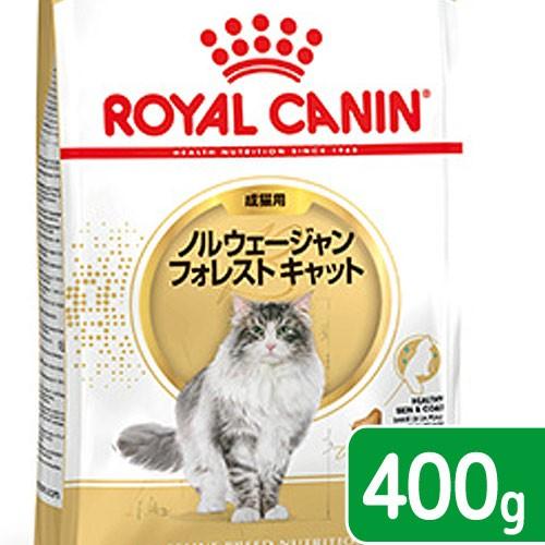 ロイヤルカナン　猫　ノルウェージャン　フォレスト　キャット　成猫用　生後１２ヵ月齢から１２歳まで　４...
