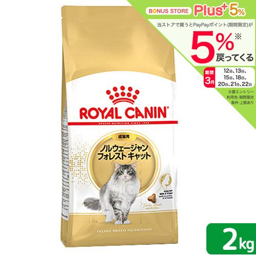 ロイヤルカナン　猫　ノルウェージャン　フォレスト　キャット　成猫用　生後１２ヵ月齢から１２歳まで　２...