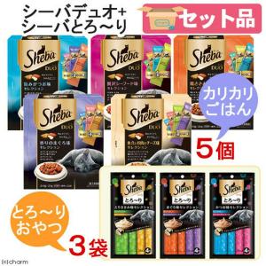 《終売》アウトレット品　アソート　シーバデュオ　２４０ｇ　５種　＋　シーバ　とろ〜り　メルティ　３種　お一人様２４点限り　キャットフード　訳あり