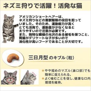 ロイヤルカナン 猫 アメリカンショートヘアー ...の詳細画像3