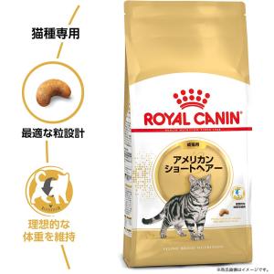 ロイヤルカナン 猫 アメリカンショートヘアー ...の詳細画像4