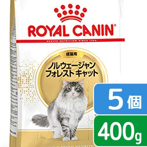 ロイヤルカナン　猫　ノルウェージャン　フォレスト　キャット　成猫用　生後１２ヵ月齢から１２歳まで　４...