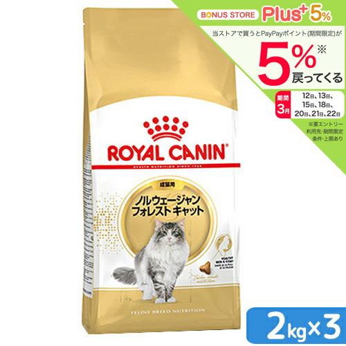 ロイヤルカナン　猫　ノルウェージャン　フォレスト　キャット　成猫用　生後１２ヵ月齢から１２歳まで　２...