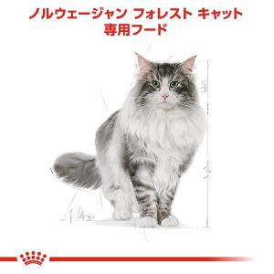 ロイヤルカナン 猫 ノルウェージャン フォレス...の詳細画像2