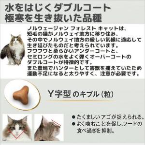 ロイヤルカナン 猫 ノルウェージャン フォレス...の詳細画像3