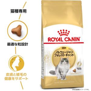 ロイヤルカナン 猫 ノルウェージャン フォレス...の詳細画像4