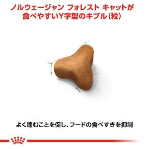 ロイヤルカナン 猫 ノルウェージャン フォレス...の詳細画像5