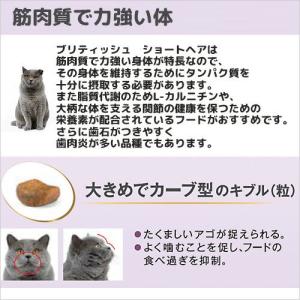 ロイヤルカナン 猫 ブリティッシュ ショートヘ...の詳細画像2